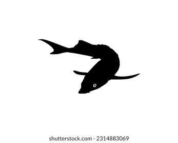 Beluga Sturgeon or Huso Fish Silhouette, Fish Which Produce Premium and Expensive Caviar, For Logo Type, Art Illustration, Pictogram, Apps, Website or Graphic Design Element. Vector Illustration