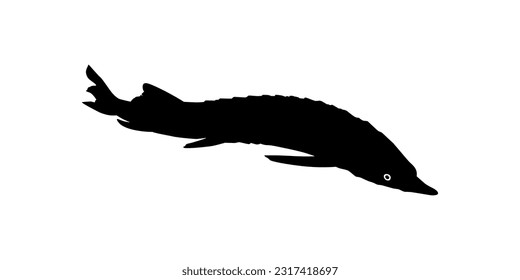 Beluga Sturgeon or Huso Fish Silhouette, Fish Which Produce Premium and Expensive Caviar, For Logo Type, Art Illustration, Pictogram, Apps, Website or Graphic Design Element. Vector Illustration