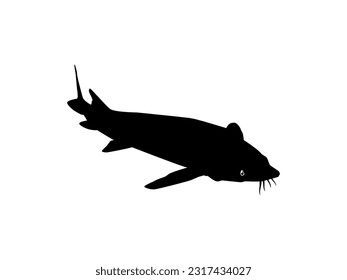 Beluga Sturgeon or Huso Fish Silhouette, Fish Which Produce Premium and Expensive Caviar, For Logo Type, Art Illustration, Pictogram, Apps, Website or Graphic Design Element. Vector Illustration