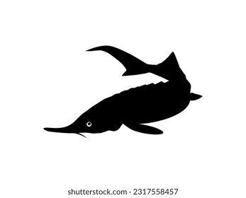 Beluga Sturgeon or Huso Fish Silhouette, Fish Which Produce Premium and Expensive Caviar, For Logo Type, Art Illustration, Pictogram, Apps, Website or Graphic Design Element. Vector Illustration