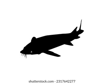 Beluga Sturgeon or Huso Fish Silhouette, Fish Which Produce Premium and Expensive Caviar, For Logo Type, Art Illustration, Pictogram, Apps, Website or Graphic Design Element. Vector Illustration