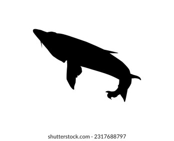 Beluga Sturgeon or Huso Fish Silhouette, Fish Which Produce Premium and Expensive Caviar, For Logo Type, Art Illustration, Pictogram, Apps, Website or Graphic Design Element. Vector Illustration