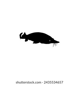 Beluga Sturgeon or Huso Fish Silhouette, Flat Style, Fish Which Produce Premium and Expensive Caviar, For Logo Type, Art Illustration, Pictogram, Apps, Website or Graphic Design Element. Vector