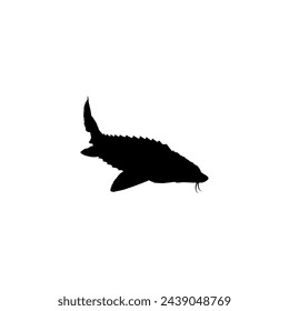 Beluga Sturgeon or Huso Fish Silhouette, Flat Style, Fish Which Produce Premium and Expensive Caviar, For Logo Type, Art Illustration, Pictogram, Apps, Website or Graphic Design Element. Vector