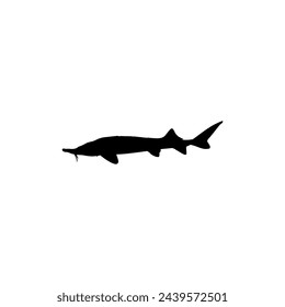 Beluga Sturgeon or Huso Fish Silhouette, Flat Style, Fish Which Produce Premium and Expensive Caviar, For Logo Type, Art Illustration, Pictogram, Apps, Website or Graphic Design Element. Vector