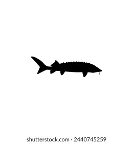 Beluga Sturgeon or Huso Fish Silhouette, Flat Style, Fish Which Produce Premium and Expensive Caviar, For Logo Type, Art Illustration, Pictogram, Apps, Website or Graphic Design Element. Vector