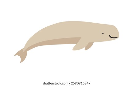 Beluga whale cartoon clipart. Cute white whale or Beluga whale (Delphinapterus leucas) vector illustration. White whale. Animal in flat style. Sea animals concept isolated on white background