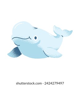 Beluga Whale Cartoon Ocean Mammals Flat Illustration