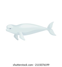 Beluga Whale Colorful Illustration Of A Marine Mammal Of The Narwhal Family.Vector Graphic.