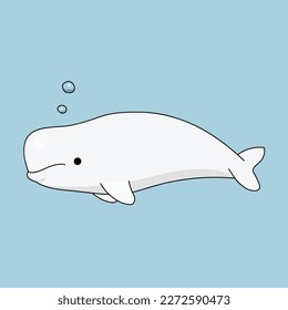 beluga whale, mammal, white fish, ocean, whale, sea 