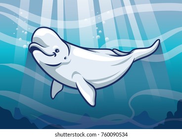 Beluga Whale in the ocean