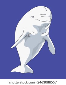 Beluga Whale Sea Canary White Whales