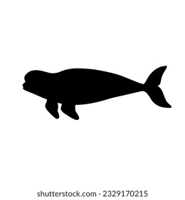 Beluga whale silhouette. Predatory marine mammal.Vector graphics.