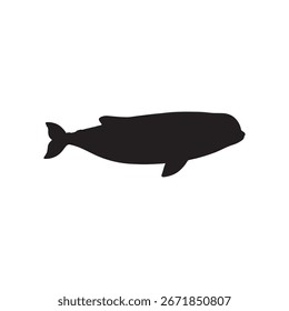 Diseño plano de la ilustración del Vector de la silueta de la ballena de Beluga sobre fondo blanco