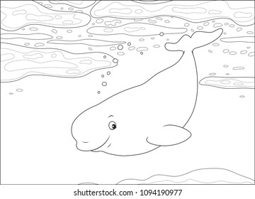 Beluga whale swimming among drifting ice floes in a polar sea, black and white vector illustration in a cartoon style for a coloring book