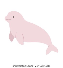 Beluga whale vector isolated on white. Educational illustration for kids and marine-themed projects