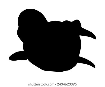 Beluga whale vector silhouette illustration isolated on white background. White whale symbol. Polar dolphin. Delphinapterus leucas. Beluga shape shadow.
