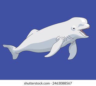 Beluga Whale White Whales Sea Canary