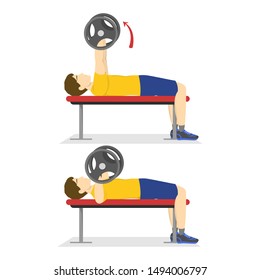 Bench press exercise for chest. Man doing workout with barbell. Bodybuilder in the gym. Isolated vector illustration in cartoon style