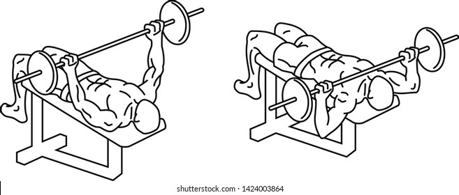 bench press. Exercises and training with weights. vector illustration