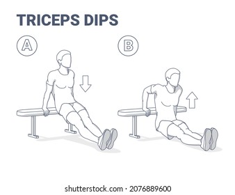 Bench Triceps Dips Man Exercise. Home Workout Exercising Guide Illustration. Colorful Concept Of Male Home Fitness Workout - Guy Working On His Triceps Using Bench. Vector Clipart.