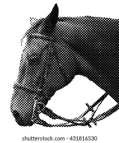 Benday dot vector illustration of a horse head.
