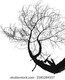 bended curve dried twigs tree branch shrub branchlet silhouette vector isolated cut out