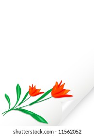 Bended paper with red tulips