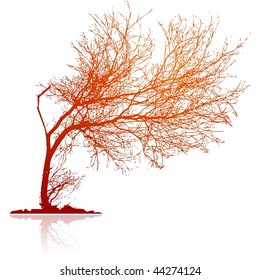 Bended Tree