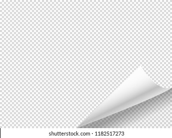 Bending paper vector mockup. Vector object isolated on transparent background