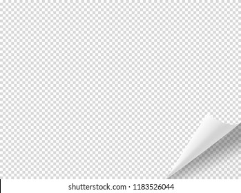 Bending paper vector mockup. Vector object isolated on transparent background