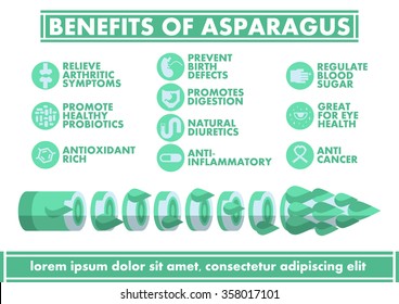 Benefits of Asparagus Infographics - Vector flat design art