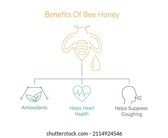 benefits of bee honey icon vector illustration 
