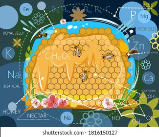 The benefits of bee products. Vitamins, trace elements, calories, energy value. The chemical composition of honey, wax, nectar, bee venom. Glucose formula. Vector illustration.