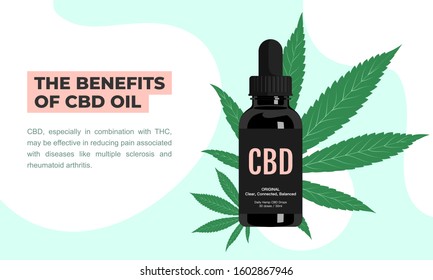 The benefits of cannabidiol(CBD), combination with THC, reduce pain and associated with diseases. Hemp CBD oil drops in black bottle product.