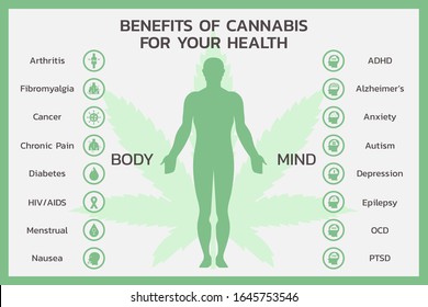 Benefits Of CBD For Body And Mind Health Or Cannabidiol, Cannabis Infographic Information Concept, Hemp. Flat Symbol Icon Vector Illustration Design