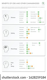 Benefits of CBD and Other Cannabinoids vertical business infographic illustration about cannabis as herbal alternative medicine and chemical therapy, healthcare and medical science vector.