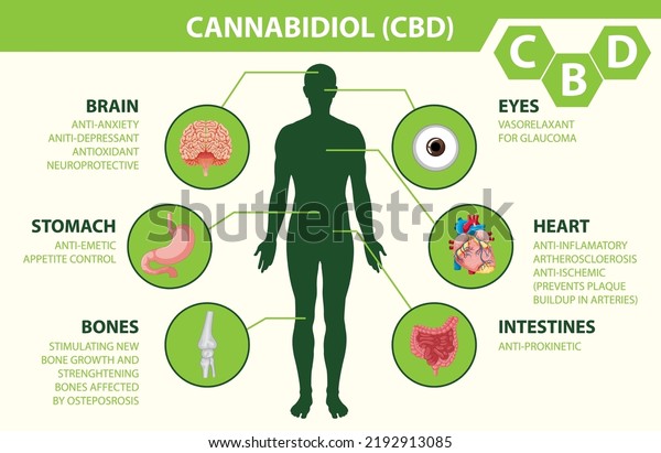 Benefits Cbd Physical Health Diagram Illustration Stock Vector (Royalty ...