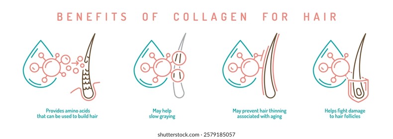 Benefits of collagen for hair. Vector illustration. Scientific icons showing hydration, protection, repair, growth. Medical infographic in line style. Outline symbols set useful for packaging design