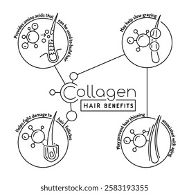 Benefits of collagen for hair. Vector illustration. Scientific icons showing hydration, protection, repair, growth. Medical poster, banner in line style. Outline symbol set useful for packaging design