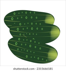 Benefits of Cucumber: A Full Exploration of the Potential of the Refreshing Vegetable"