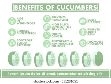 Benefits of Cucumbers Infographics - Vector flat design art
