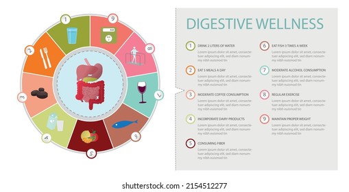 Benefits For Digestive Wellness.9 Guidelines For Its Improvement Such As Drinking Water, Healthy Diet, Sport, Exercise ... With Icons .flat Vector Illustration Eps 10