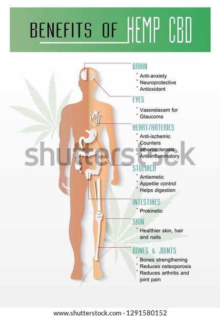 Benefits Hemp Cbdmedical Uses Cbd Oil Stock Vector Royalty Free 1291580152 3967