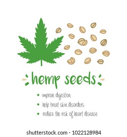 Benefits of hemp seeds, trendy superfood with doodle, hand drawn illustration isolated on white background.