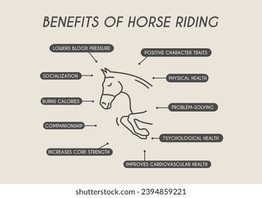 Benefits of horse riding. Equestrian infographic with outline icon and educational information. Physical and Mental Health for Horseback riders. Vector illustration. svg