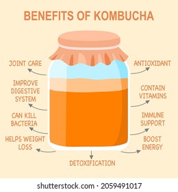 Benefits of kombucha tea in flat design. Healthy drink.
