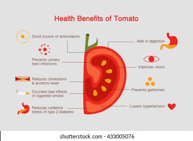 Benefits Of Tomato Infographic, Flat Design Vector Illustration. Good Source Of Antioxidants And Improves Vision.