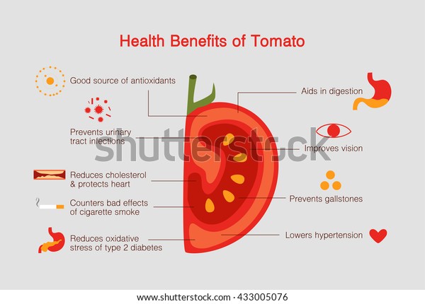 トマトインフォグラフィックの利点 フラットデザインベクターイラスト 抗酸化物質が豊富で視力が向上します のベクター画像素材 ロイヤリティフリー 433005076