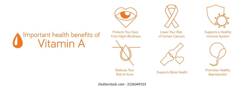 Benefits of vitamin A Protects Eyes From Night Blindness, Lower Your Risk of Cancers, Supports a Healthy Immune System, Reduces Your Risk of Acne, Supports Bone Health, Promotes Healthy Reproduction.